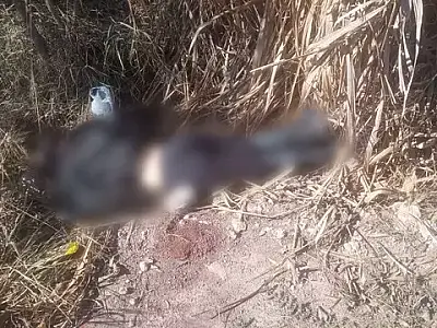 Corpo de mulher é achado com sinais de violência em área isolada de Corumbá