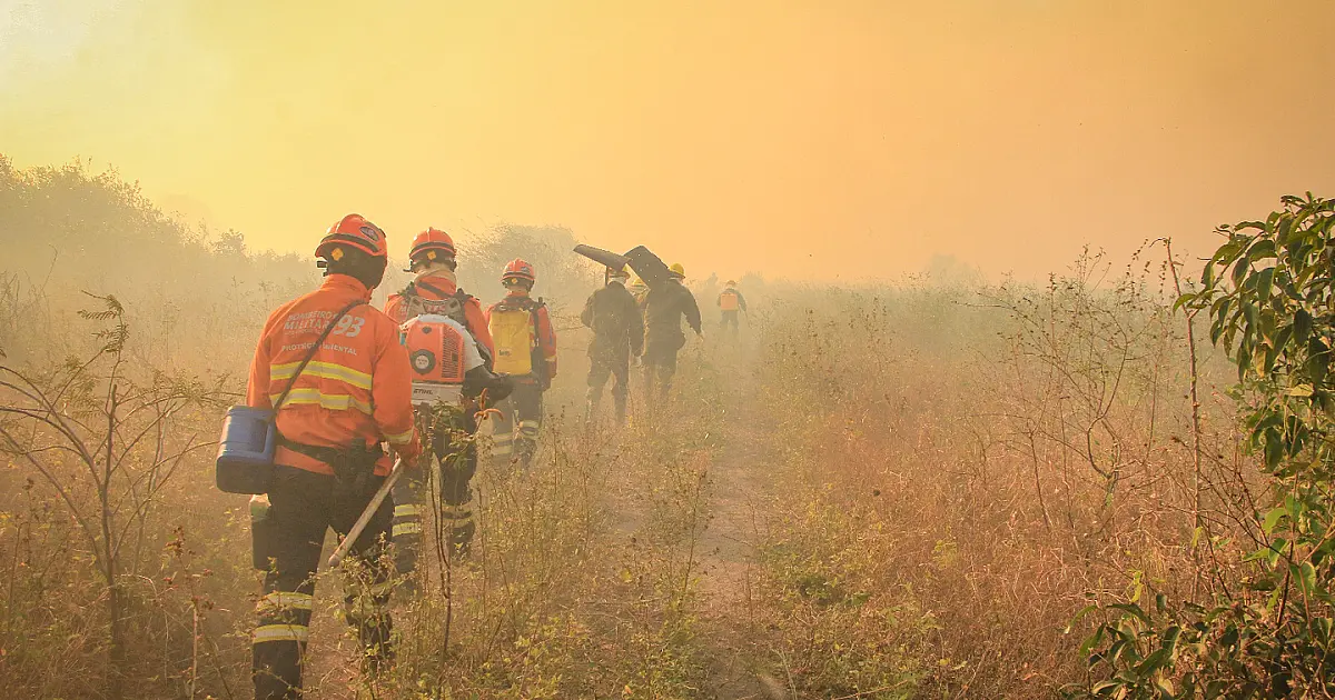 Mato Grosso do Sul decreta situação de emergência por incêndios florestais
