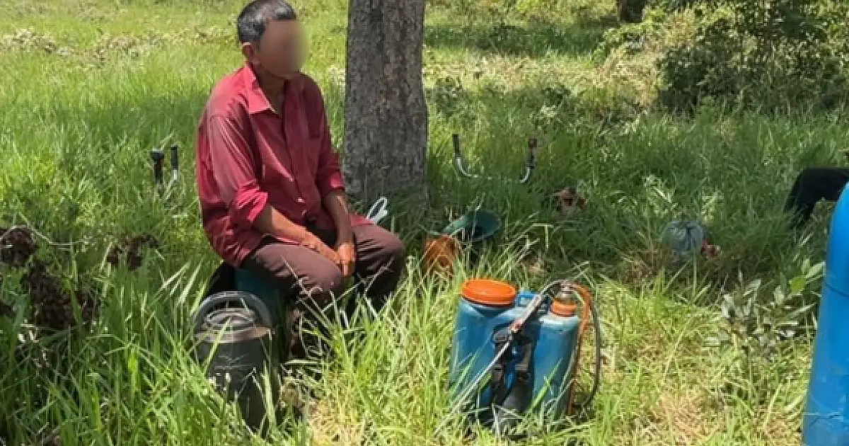 Fiscalização resgata 12 trabalhadores em fazendas no Pantanal de MS