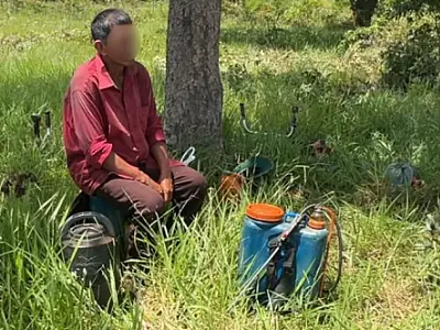 Fiscalização resgata 12 trabalhadores em fazendas no Pantanal de MS