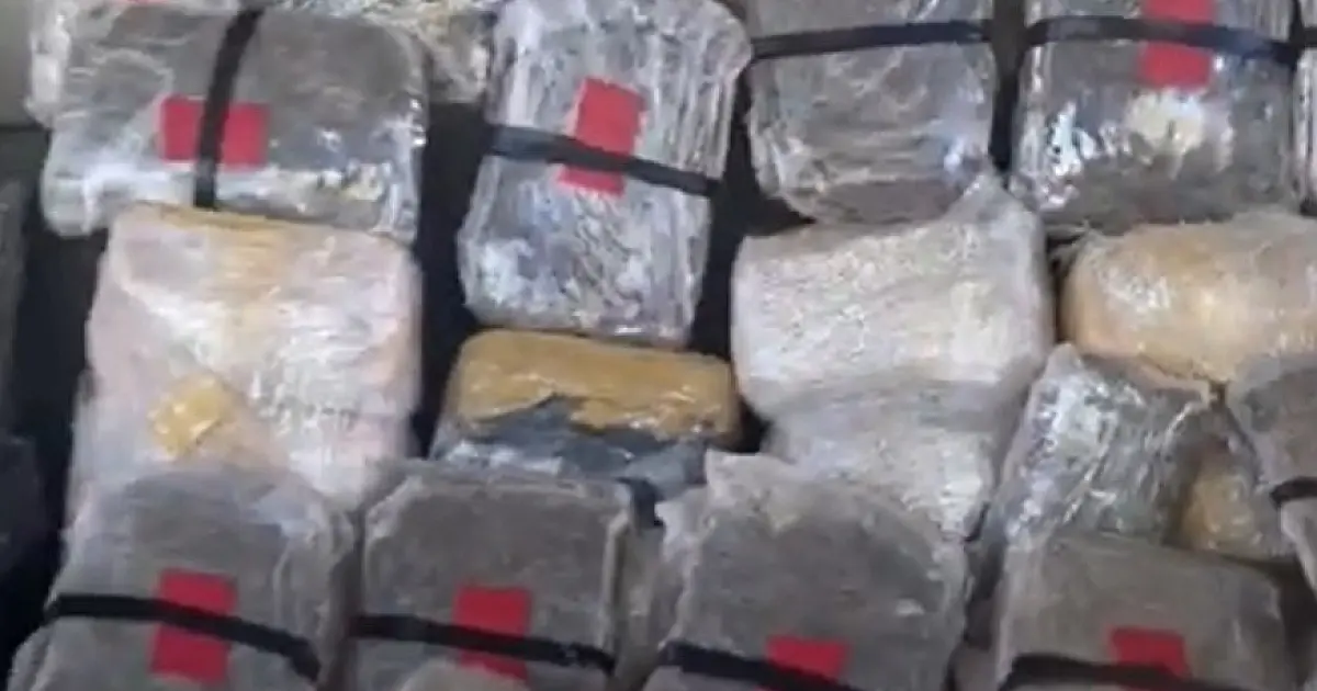 Operação policial apreende 112 kg de maconha e prende cinco pessoas em Corumbá