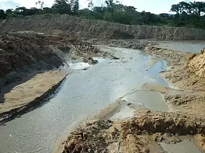 Empresa é condenada a pagar R$ 1,2 milhão por danos ao Pantanal