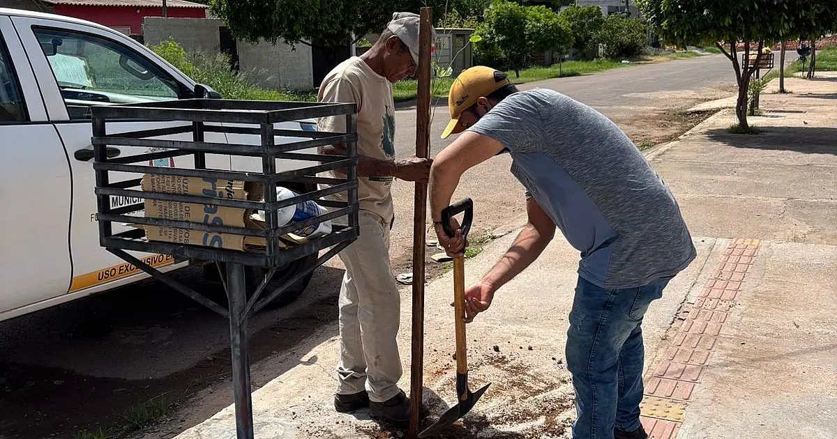 Corumbá inicia plantio de mudas para revitalizar a arborização urbana