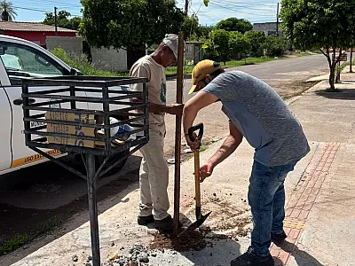 Corumbá inicia plantio de mudas para revitalizar a arborização urbana