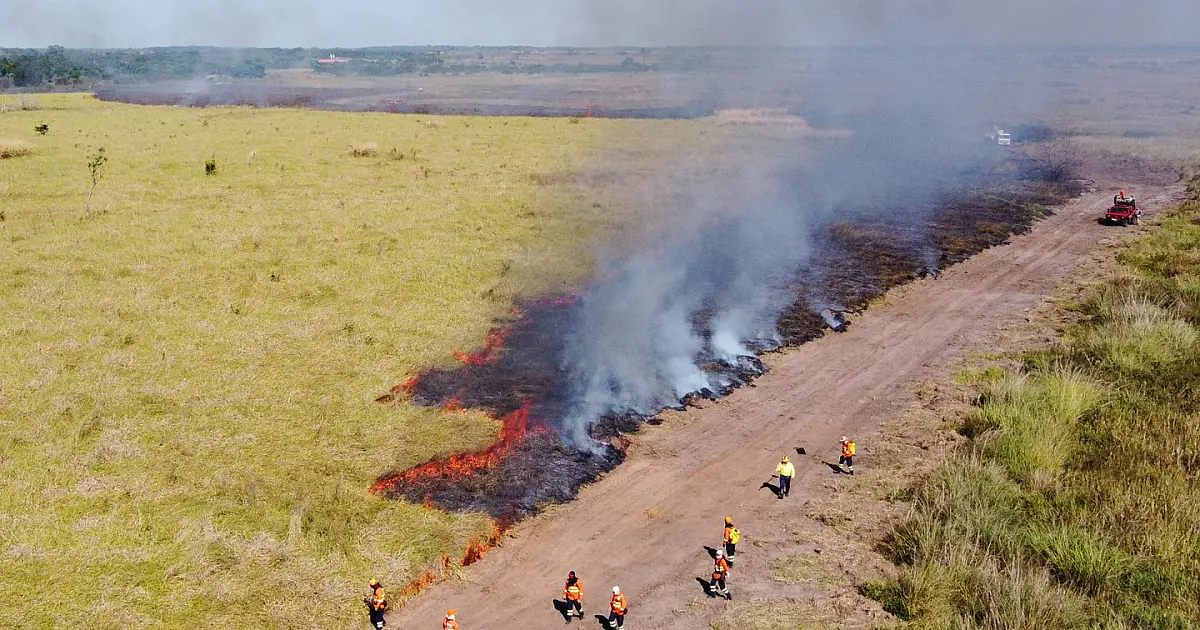 Pesquisa busca identificar o melhor período para o manejo do fogo no Pantanal