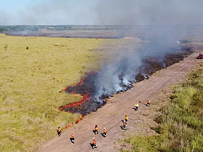 Pesquisa busca identificar o melhor período para o manejo do fogo no Pantanal