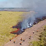 Corumbá recebe capacitação sobre manejo do fogo
