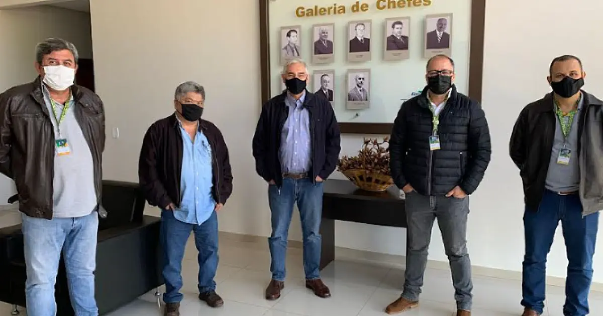 Embrapa anuncia estudo do Gigante Boliviano em consórcio com Braquiária e Panicum