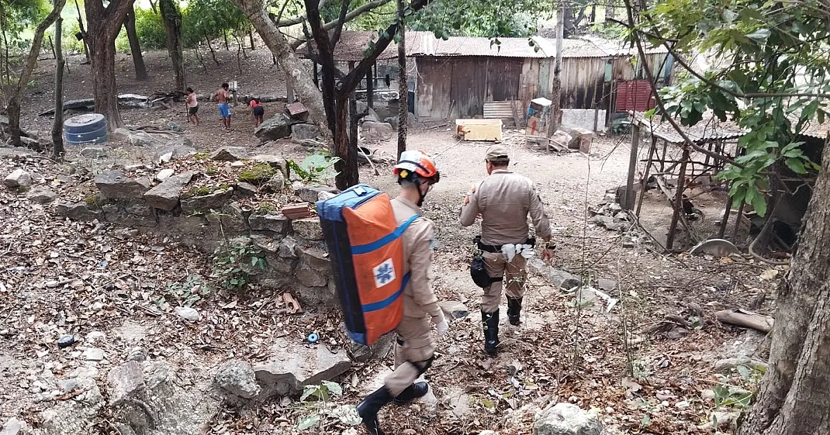 Homem arrisca a vida para defender cachorro de onça-pintada
