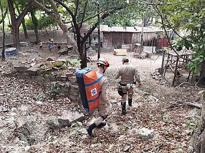 Homem arrisca a vida para defender cachorro de onça-pintada