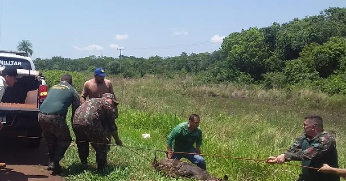 Treinamento capacita policiais ambientais para captura de animais silvestres