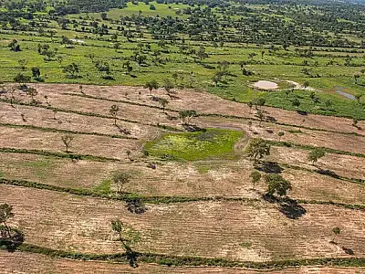 STF mantém bloqueios do Ibama em áreas de desmatamento e incêndios no Pantanal
