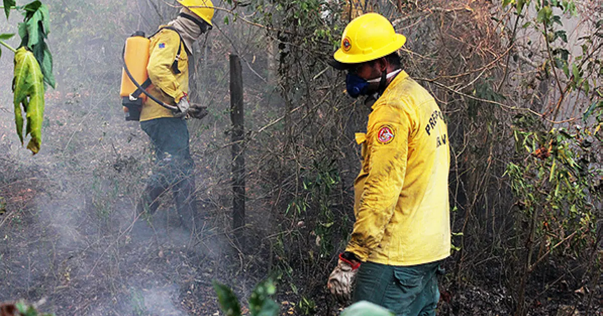 Publicada portaria do Ibama que autoriza a contratação de brigadistas temporários em MS