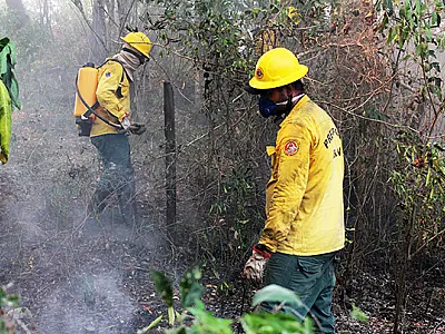 Publicada portaria do Ibama que autoriza a contratação de brigadistas temporários em MS