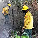 Publicada portaria do Ibama que autoriza a contratação de brigadistas temporários em MS