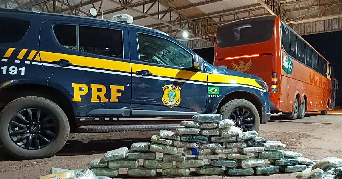 PRF intercepta ônibus e apreende 60 kg de skunk na BR-262