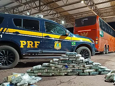 PRF intercepta ônibus e apreende 60 kg de skunk na BR-262