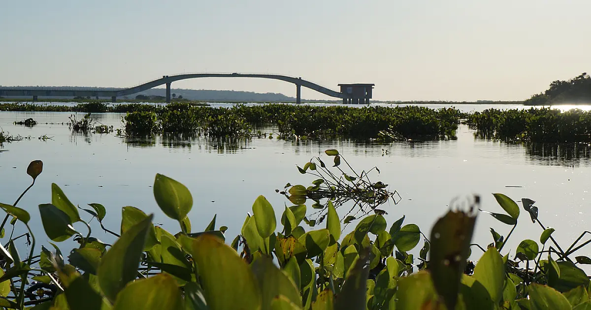 Cheia: nível do Rio Paraguai sobre 10 centímetros