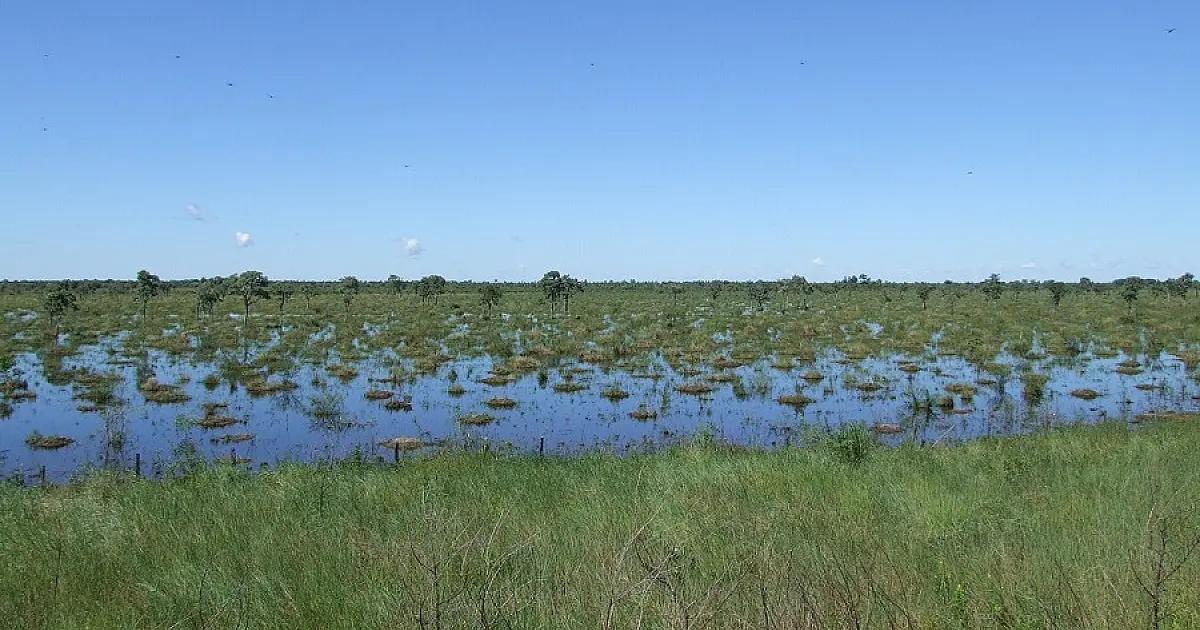 Entre outros, rio Paraguai pode superar nível de cheia este ano