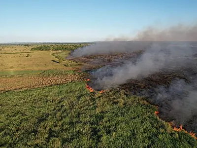 Governo federal falhou na prevenção de catástrofes no Pantanal, diz TCU
