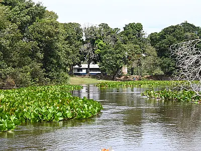 Nível do rio Paraguai melhora no comparativo com 2024, mas ainda há pontos de estiagem