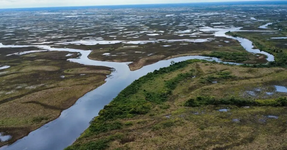 Dia do Pantanal reforça importância do bioma para o clima e a biodiversidade