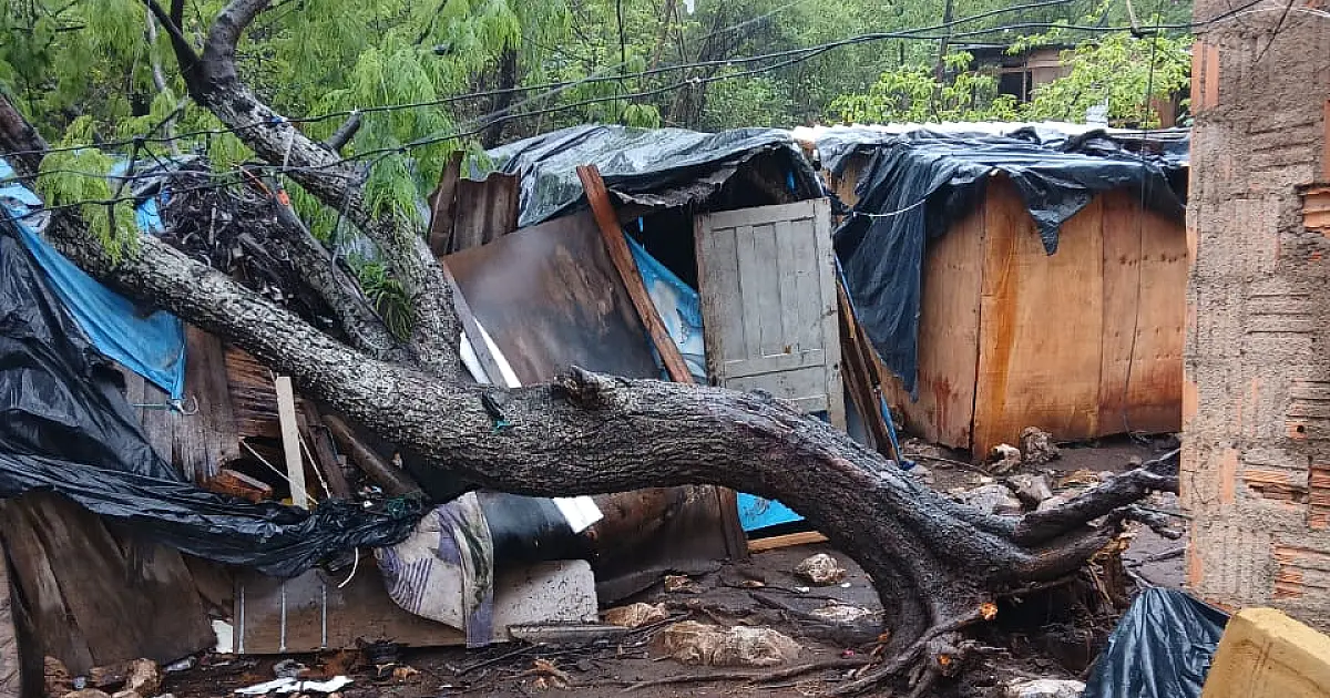 Queda de árvore destrói residência de madeira no bairro Nova Corumbá