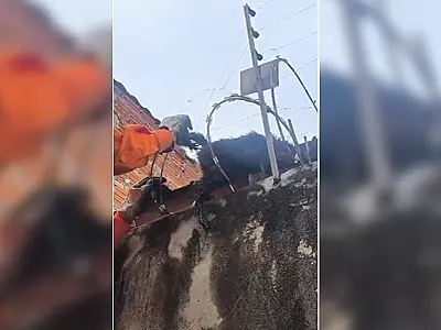 Bombeiros resgatam gato preso em cerca de segurança