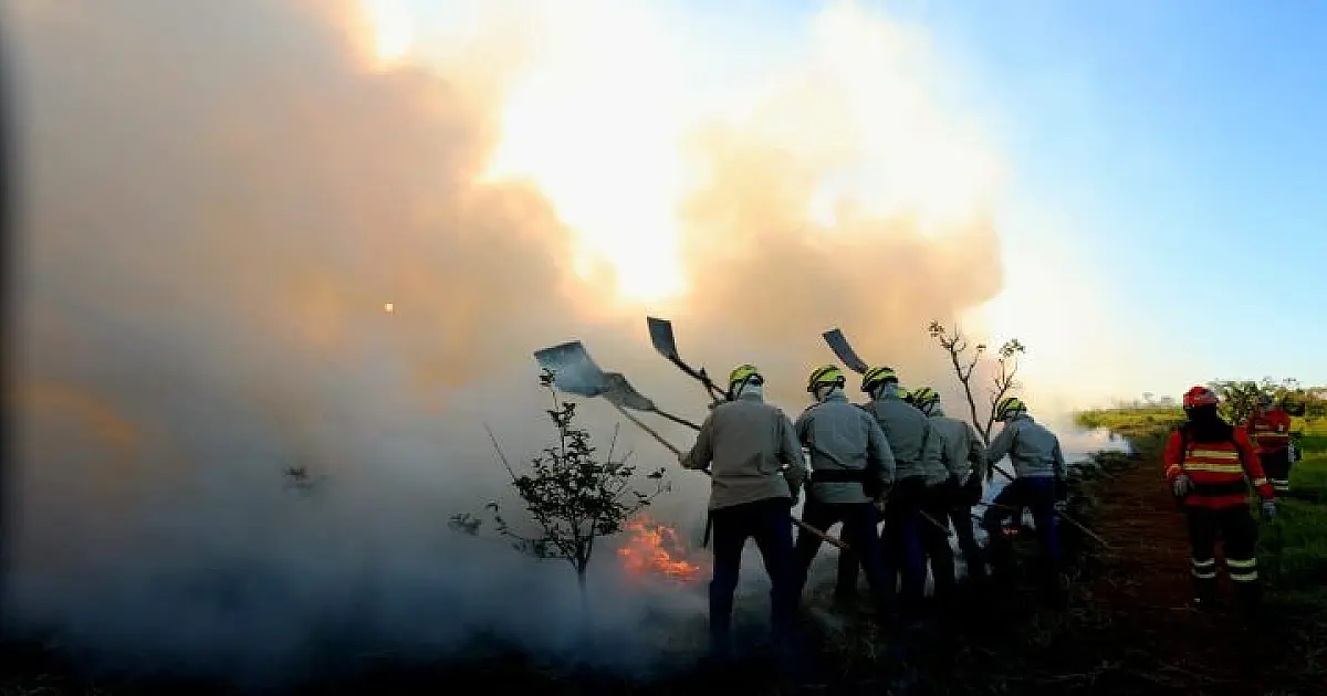 Edital que vai financiar a criação de brigadas no Pantanal será antecipado para Abril