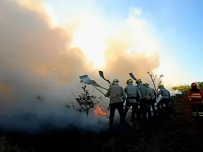 Edital que vai financiar a criação de brigadas no Pantanal será antecipado para Abril