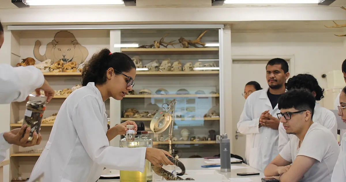 Curso de Ciências Biológicas da UFMS Recebe Nota Máxima do MEC