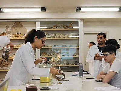 Curso de Ciências Biológicas da UFMS Recebe Nota Máxima do MEC