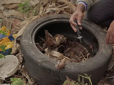Mato Grosso do Sul registra 7.709 casos confirmados de dengue