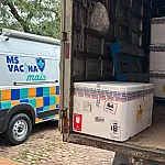 Corumbá e Ladário recebem vacinas contra dengue para profissionais de saúde