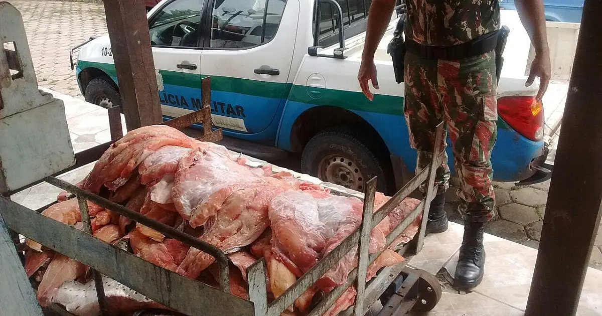 Comerciante é multado em mais de R$ 3 mil por armazenamento ilegal de peixe