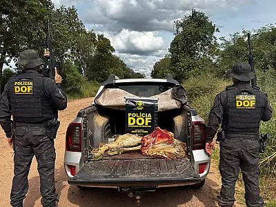 Cinco pessoas são presas em Corumbá após furto e abate ilegal de gado