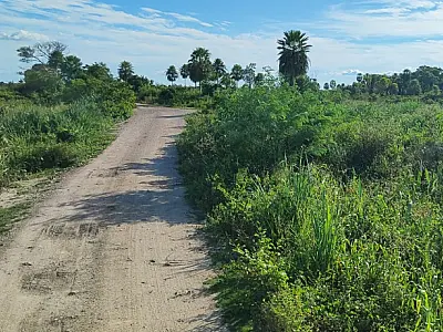 Fazendeiros temem isolamento e cobram licença ambiental para obras