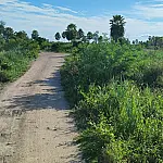 Fazendeiros temem isolamento e cobram licença ambiental para obras