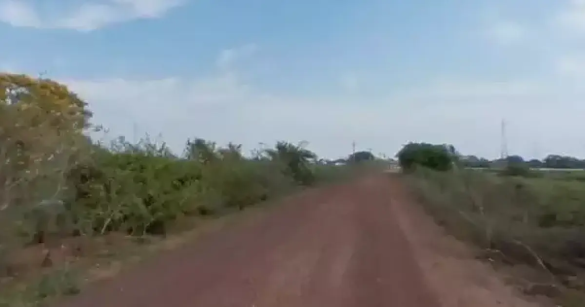 Obra de R$ 65 milhões vai recuperar 160 km da MS-228 no Pantanal