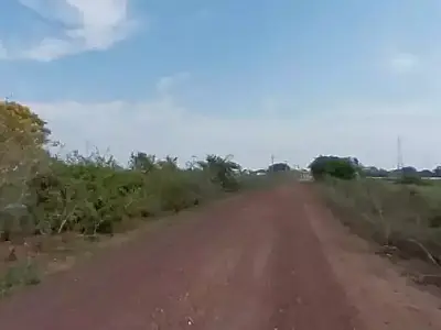 Obra de R$ 65 milhões vai recuperar 160 km da MS-228 no Pantanal