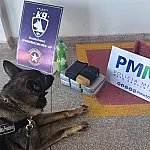 Operação FERA intercepta 2 toneladas de mercadorias e 10 kg de pasta base em Corumbá