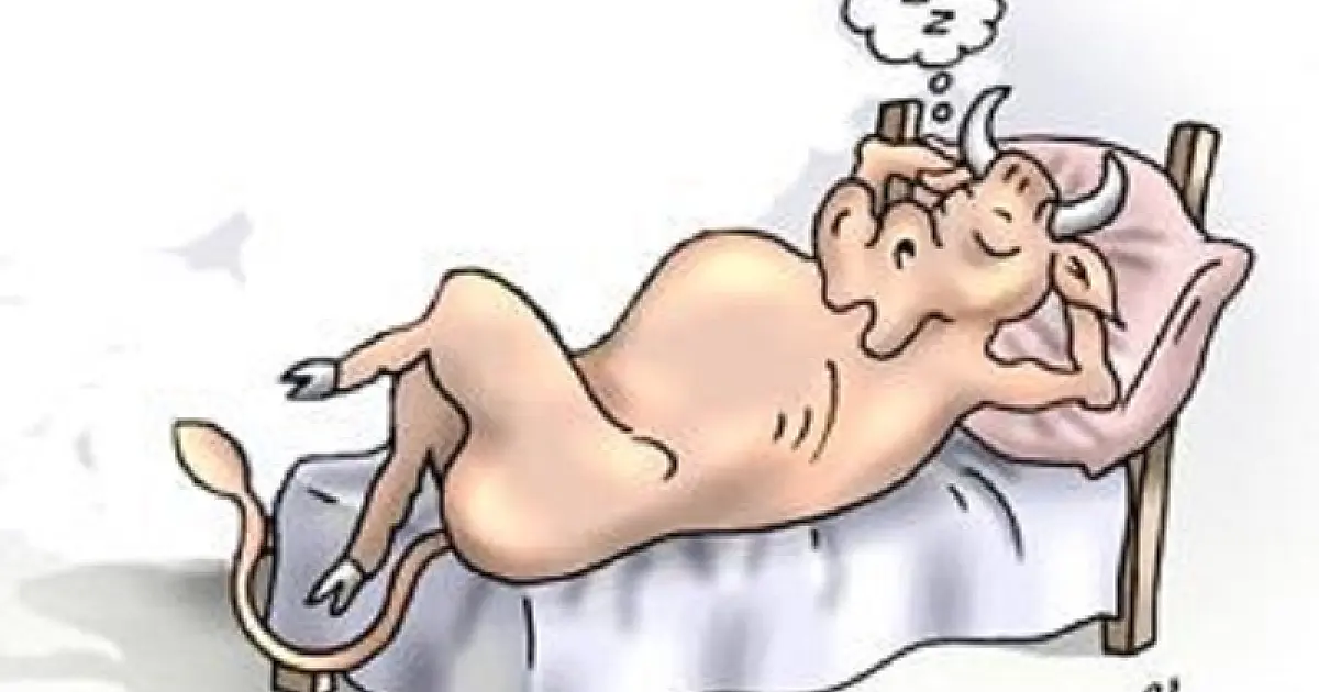 Conversa para boi.............................