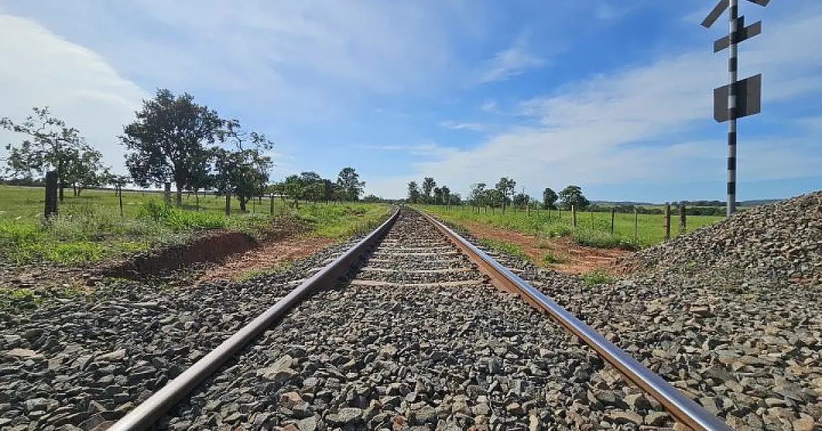ANTT aprova construção de ramal ferroviário para escoar celulose pela Malha Norte