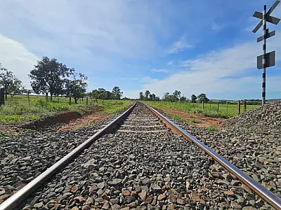 ANTT aprova construção de ramal ferroviário para escoar celulose pela Malha Norte