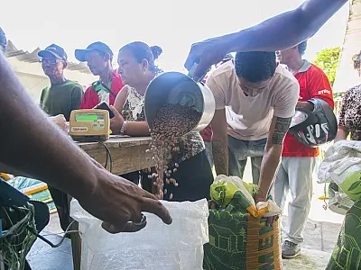 Prefeitura e Estado entregam sementes de feijão para agricultura familiar