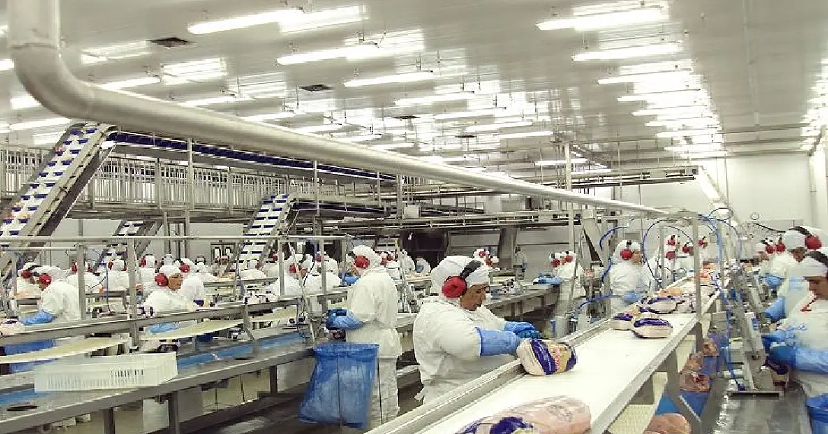 Em retomada econômica, MS acumula 24,3 mil novos empregos no ano