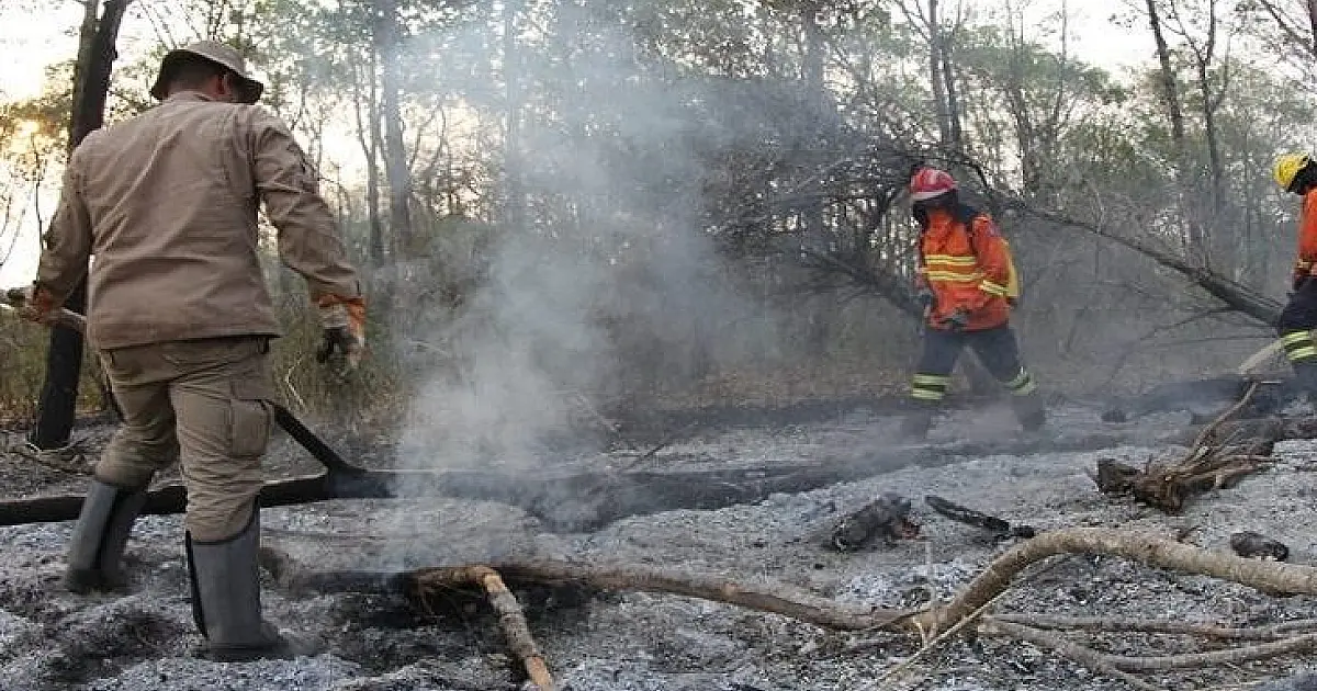 Incêndios no Pantanal são monitorados com imagens de satélite e fiscalização em áreas de foco