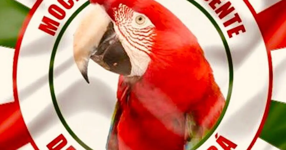 Hoje é dia de Ensaio Vip na Mocidade da Nova Corumbá