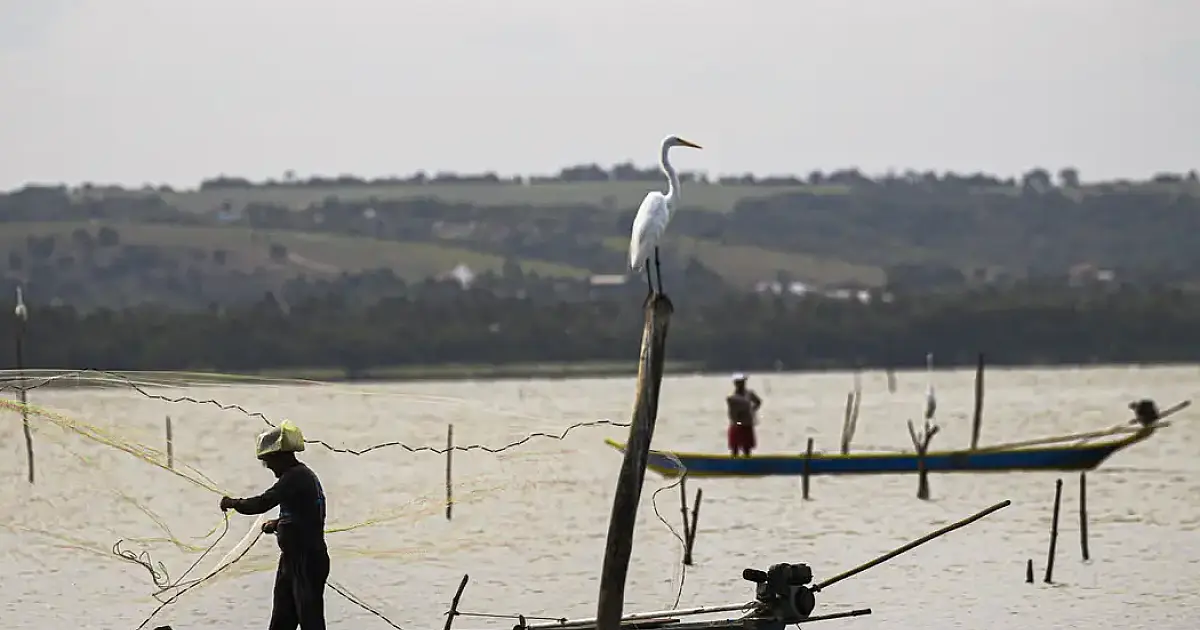 Com gestão pelo Ministério do Trabalho, seguro-defeso sofre mudança nas regras