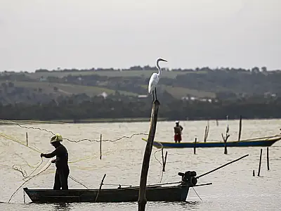 Com gestão pelo Ministério do Trabalho, seguro-defeso sofre mudança nas regras